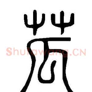 苽