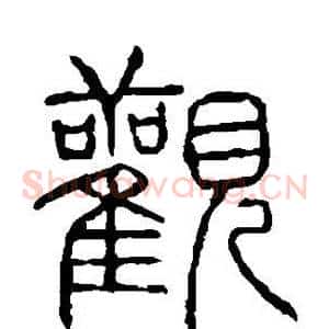 观