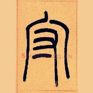 守