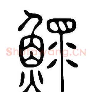 鰥