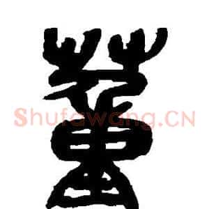 董