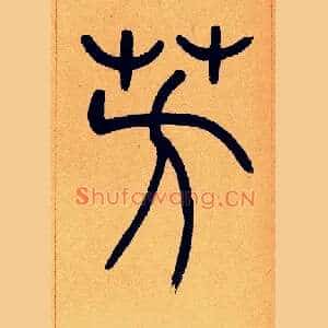 芳