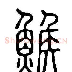鯸