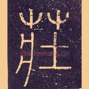 壯