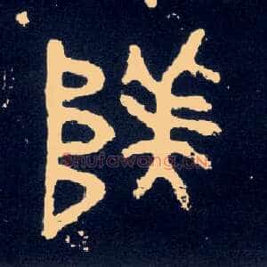 阝美