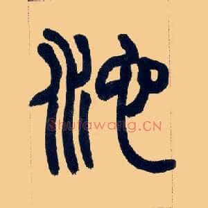 池