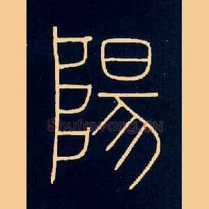 陽