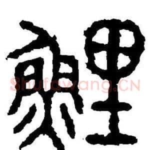 鲤