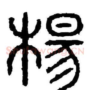 杨