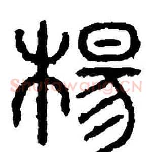 楊