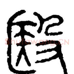 医