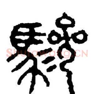驂