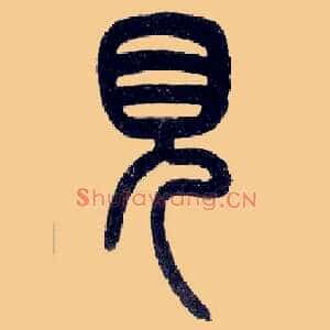 見