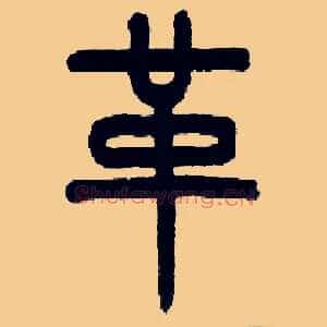 革