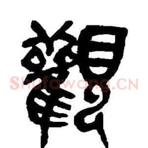 观