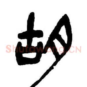 衚