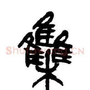 集
