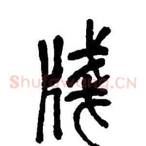 箋