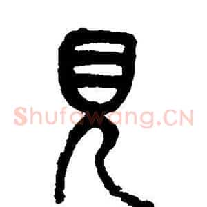 见