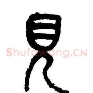 見