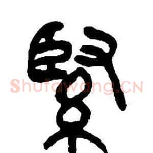 緊