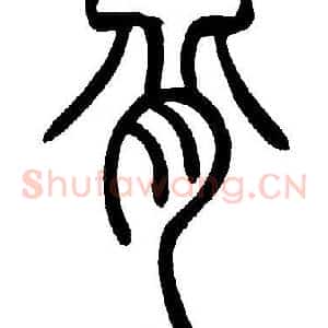 背