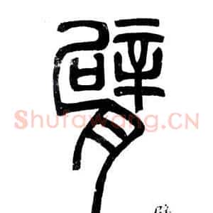 臂