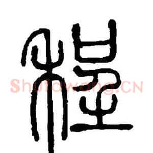 程