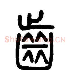 齿