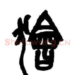狯