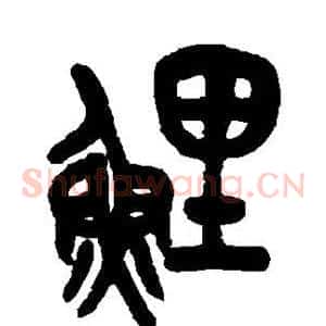 鲤