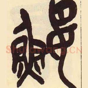 鯉