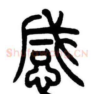 感
