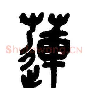 莲