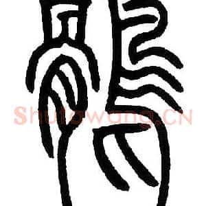 鹘