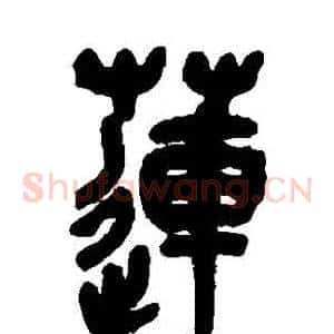蓮