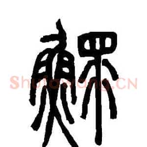 鰥