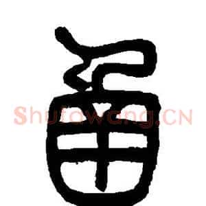 函