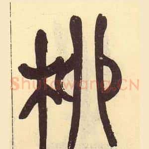 柳