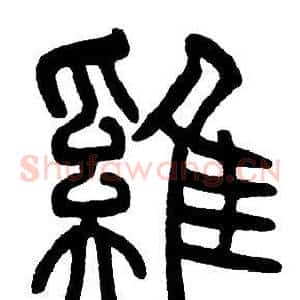 雞