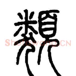 类
