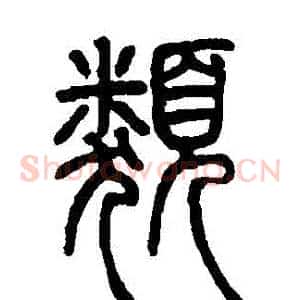 類