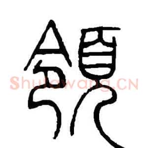 领