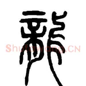 龙