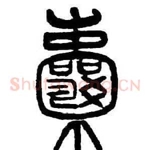 囊