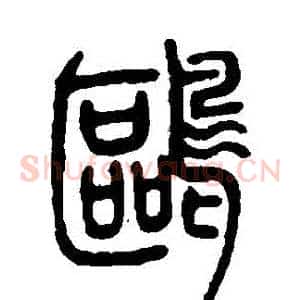 鷗