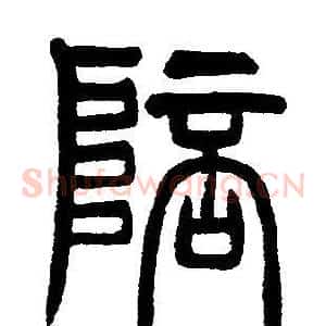 陪