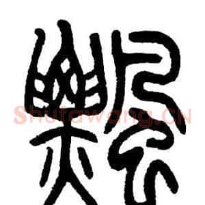 飄