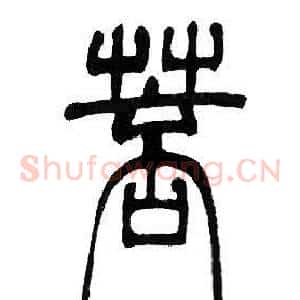 菩