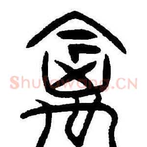 禽